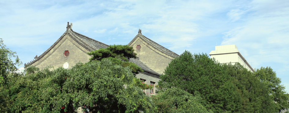 1560598778386049261.png 鏃犳爣棰�2.png